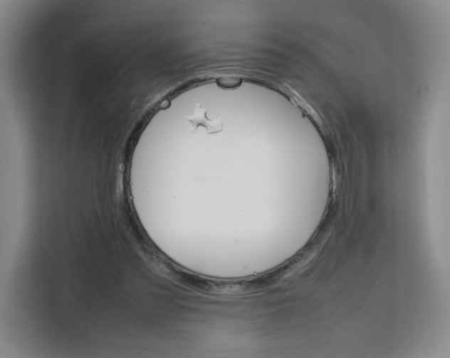 X0000111530301200907141302