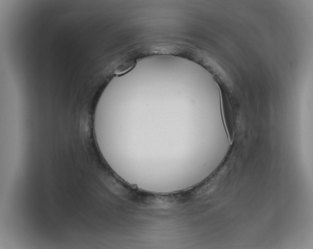 X0000111530305200907141302