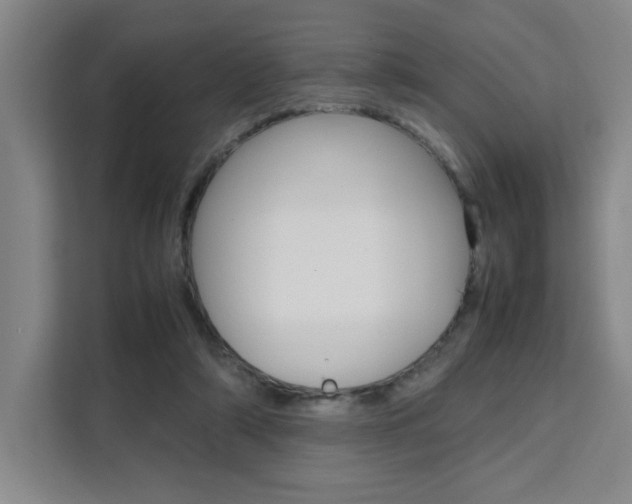 X0000111530306200907141302