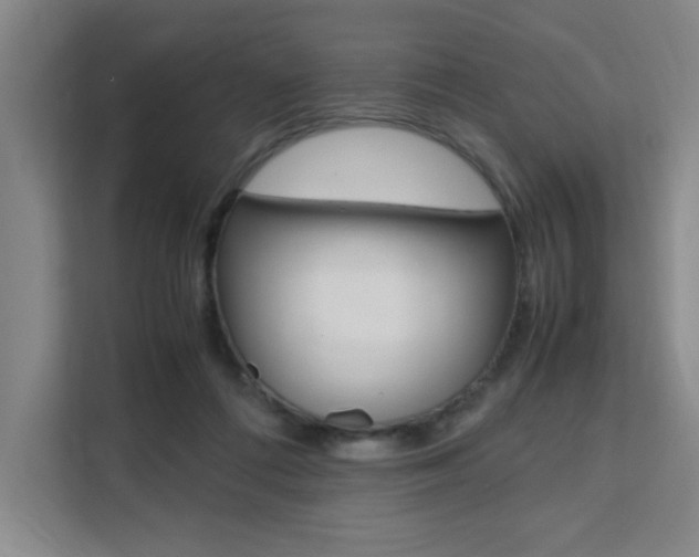 X0000111530312200907141302