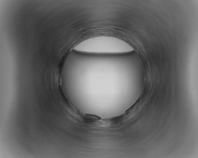 X0000111530328200907141302