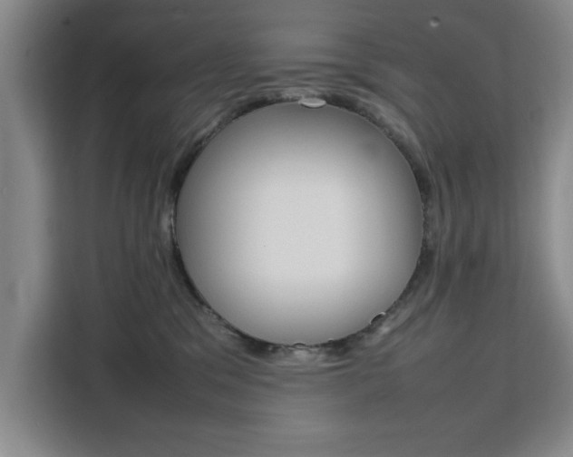 X0000111530329200907141302