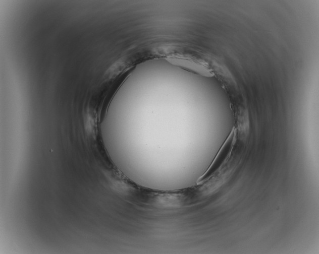 X0000111530332200907141302