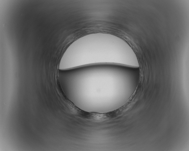 X0000111530333200907141302