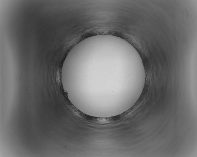 X0000111530335200907141301