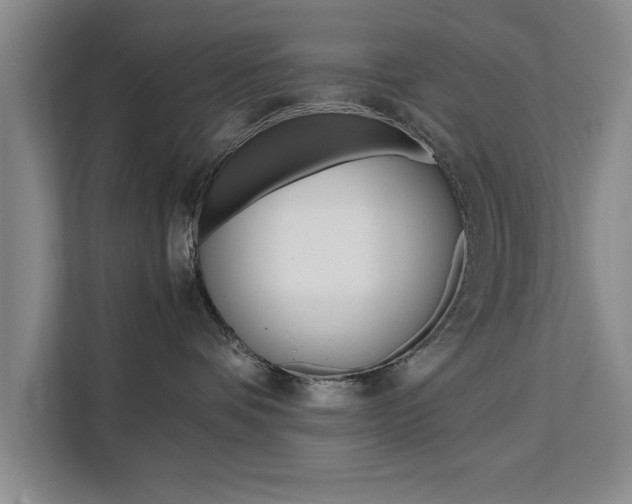 X0000111530336200907141301