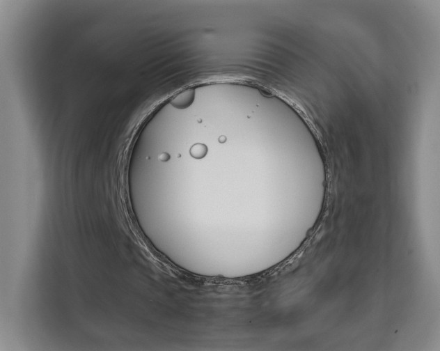 X0000111530337200907141301