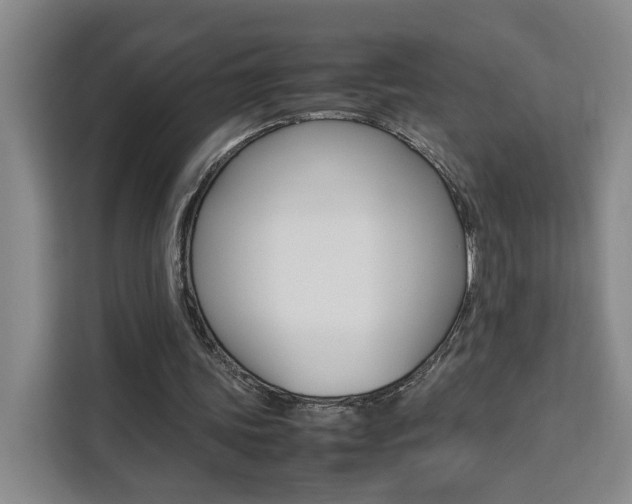 X0000111530339200907141301