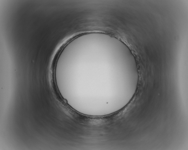 X0000111530342200907141301