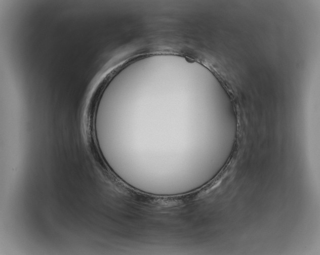 X0000111530343200907141301