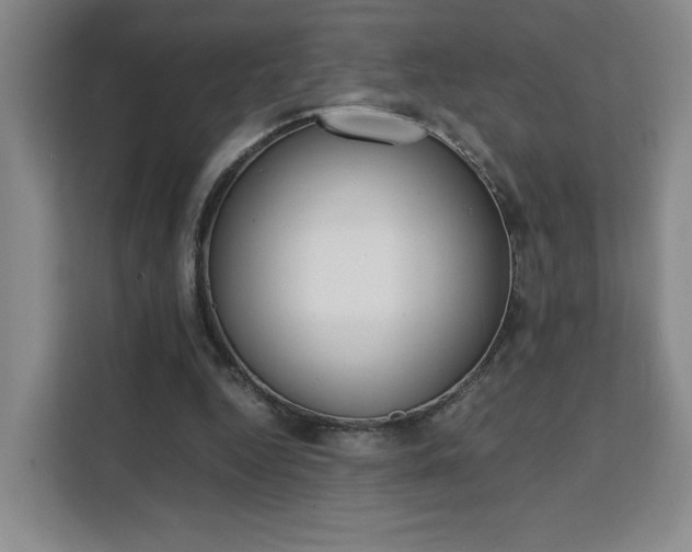 X0000111530344200907141301