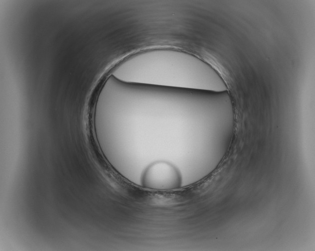 X0000111530346200907141301