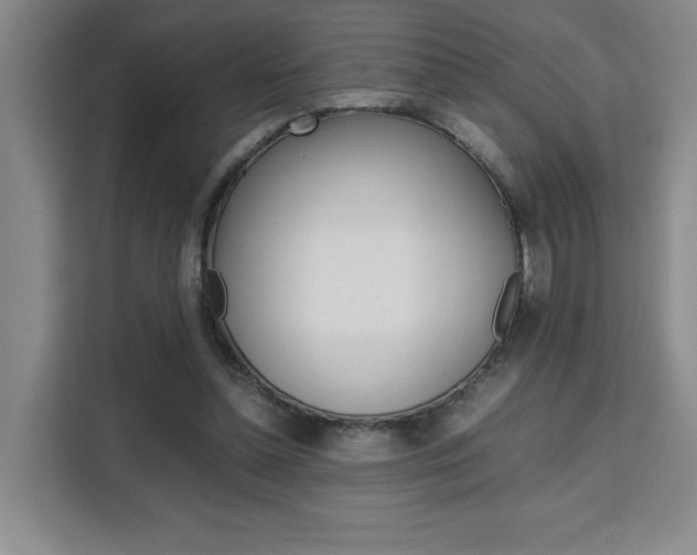 X0000111530348200907141301
