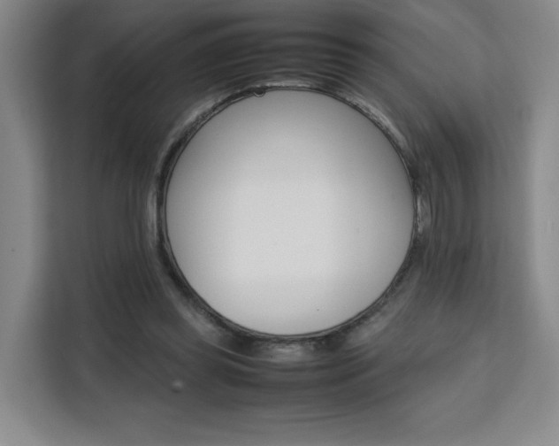 X0000111530349200907141301