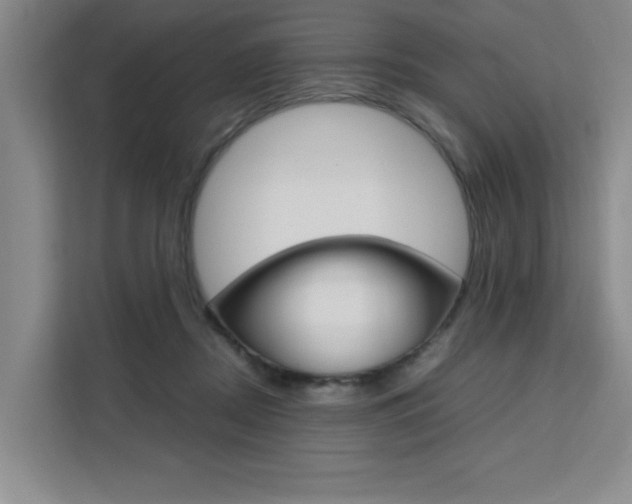 X0000111530362200907141301