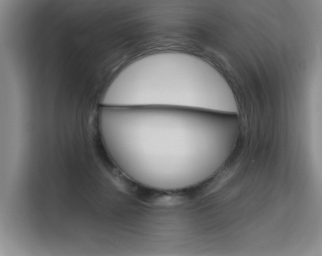 X0000111530364200907141301