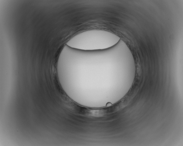 X0000111530371200907141301