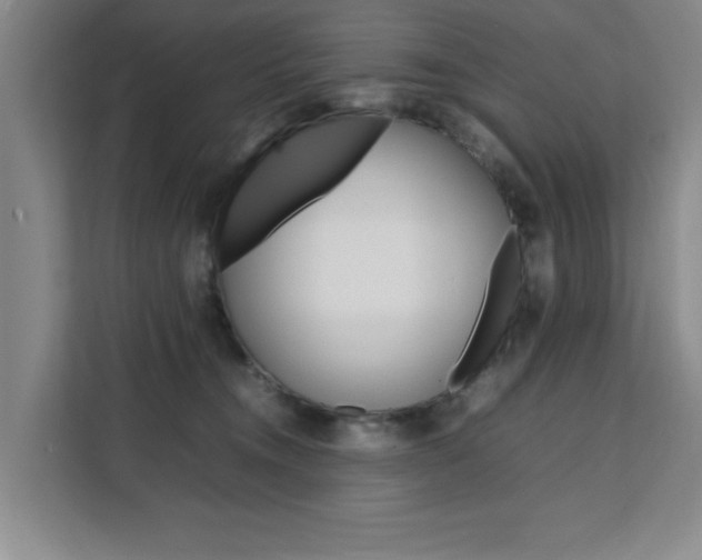 X0000111530372200907141301