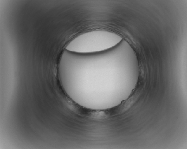 X0000111530374200907141301