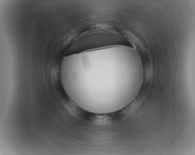 X0000111530376200907141301
