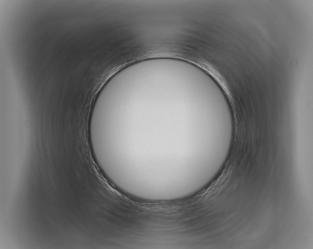 X0000111530385200907141301