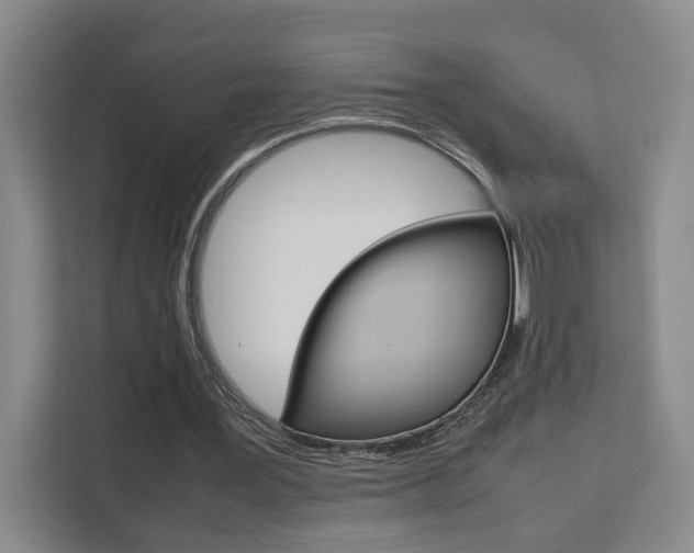 X0000111530387200907141301