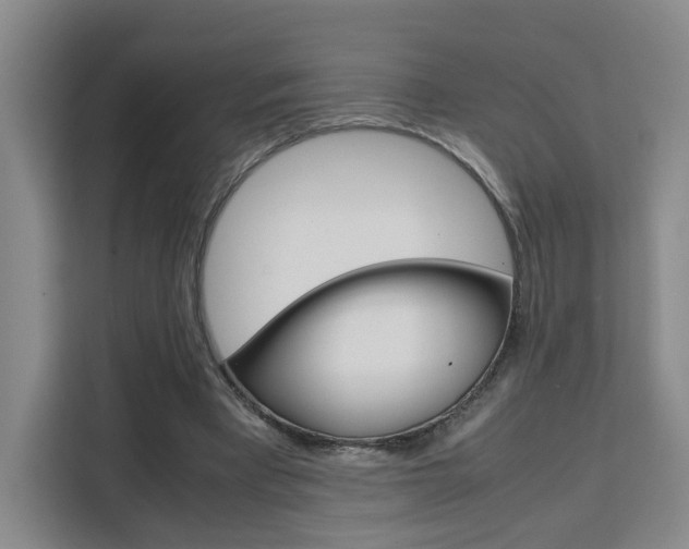 X0000111530393200907141301