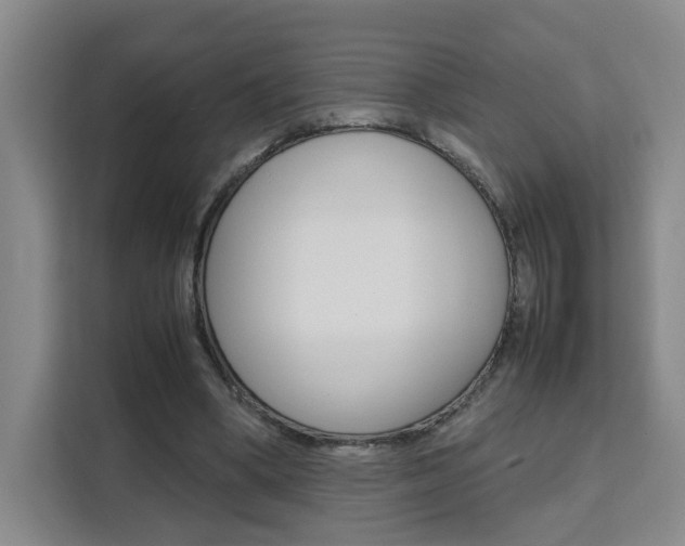 X0000111530394200907141301
