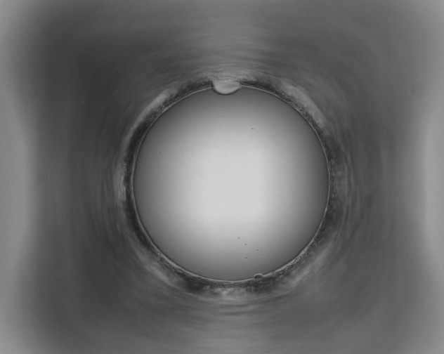 X0000111530395200907141301