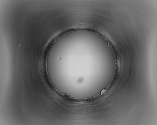 X0000111530396200907141301