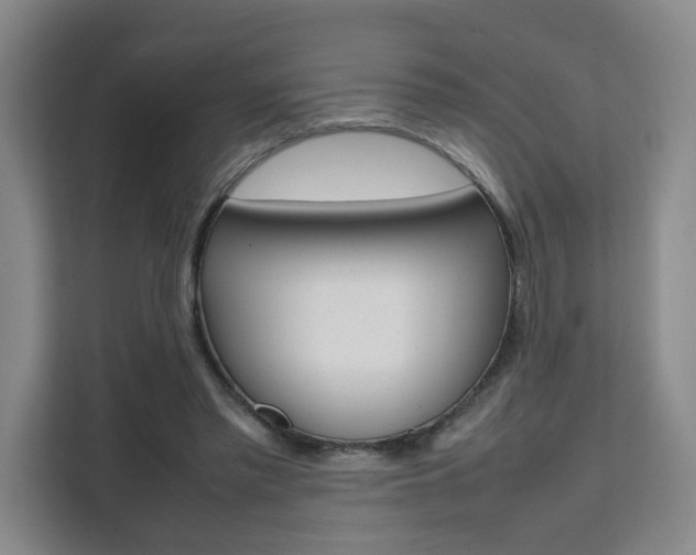 X0000111530397200907141301