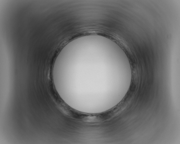 X0000111530406200907141301