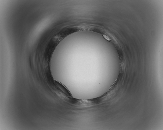 X0000111530429200907141300