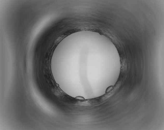 X0000111530430200907141300
