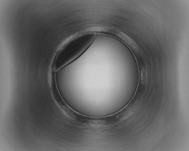 X0000111530436200907141300