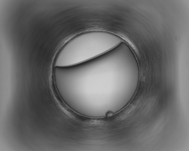 X0000111530437200907141300