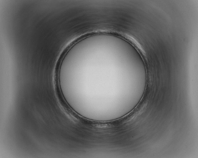 X0000111530439200907141300
