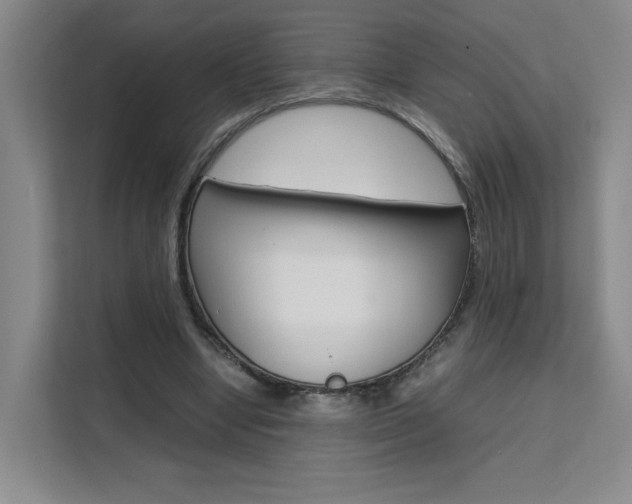 X0000111530442200907141300