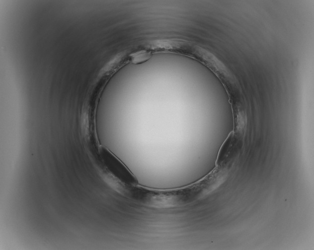 X0000111530444200907141300