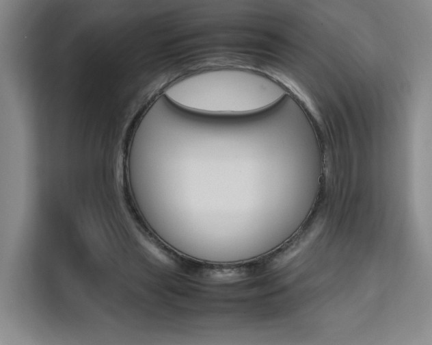 X0000111530445200907141300