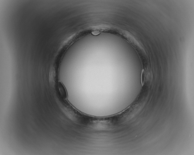 X0000111530448200907141300