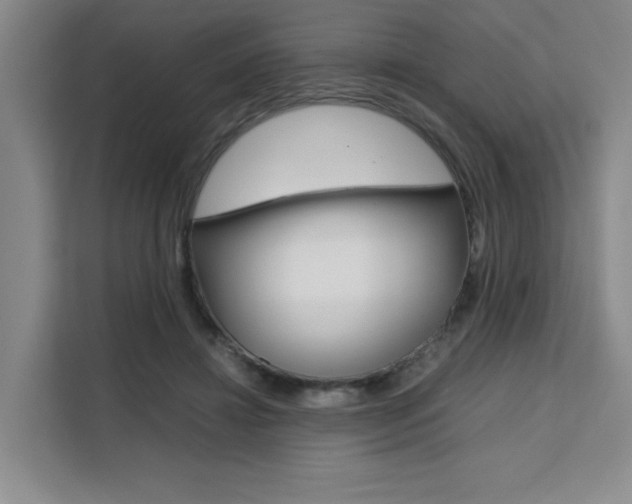 X0000111530452200907141300