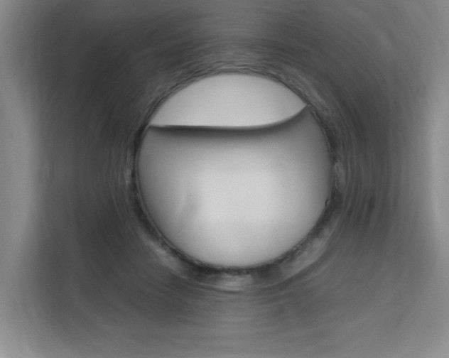 X0000111530458200907141300