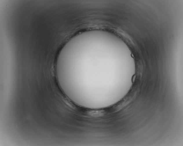 X0000111530465200907141300