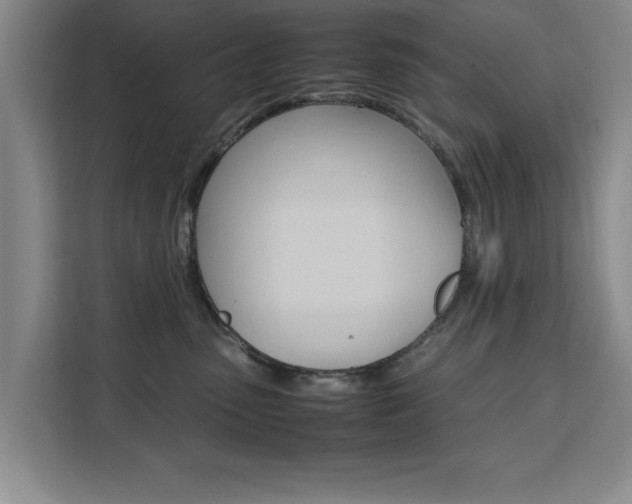 X0000111530475200907141300