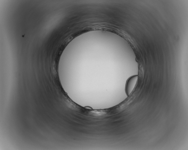 X0000111530477200907141300