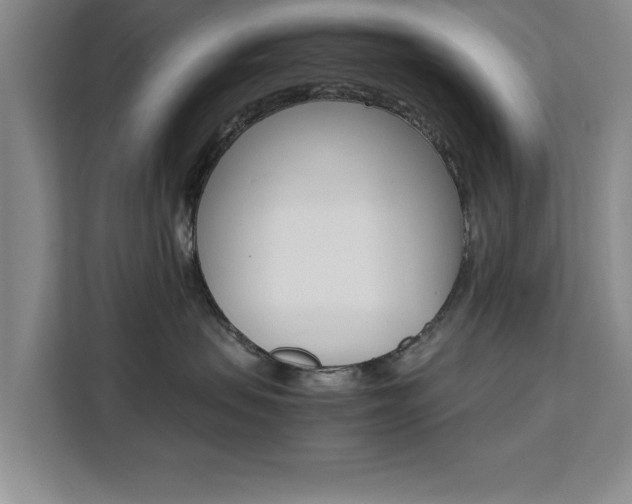 X0000111530479200907141300