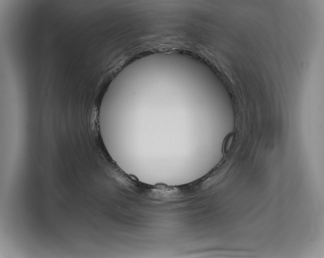 X0000111530480200907141300