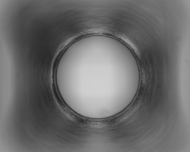 X0000111530486200907141300