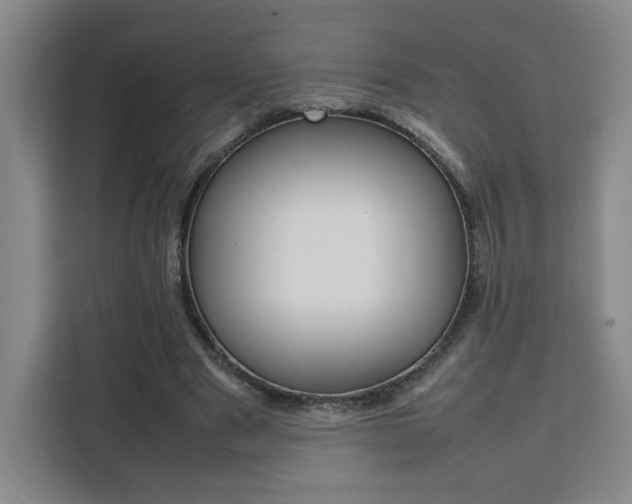 X0000111530489200907141259